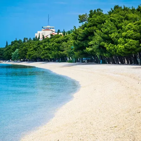 Lidija 1 *
